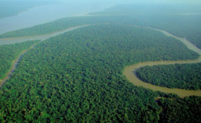 Solimões River, Amazon Rainforest. Source: Lucia Barreiros. Catedral Verde