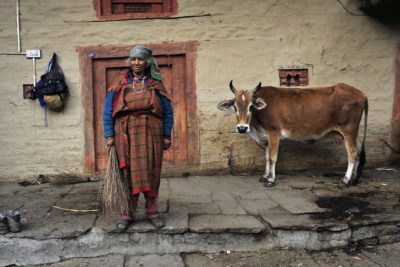 A local woman and a tawny cow in Himachal Pradesh. Source©2011CIAT/NeilPalmer.flickr.com