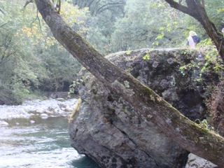 The Beauty of Nature- the legendary Śankaropal, the Śiva Rock in Kashmir, where Vasugupta had his revelation of the Śiva Sūtras.